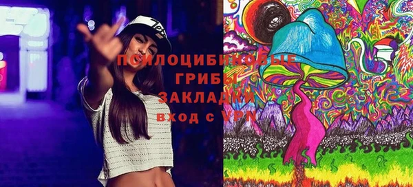 хмурый Михайлов