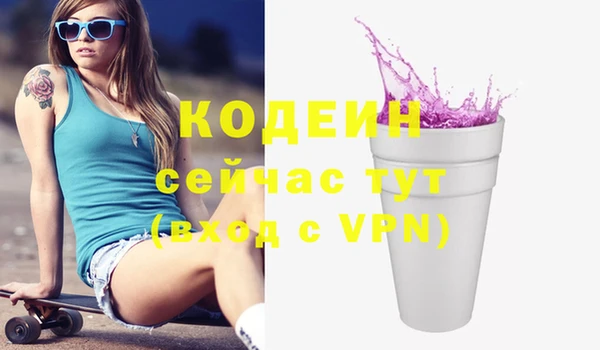индика Майский