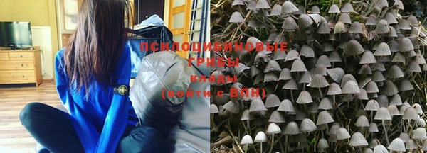 марки nbome Михайловск