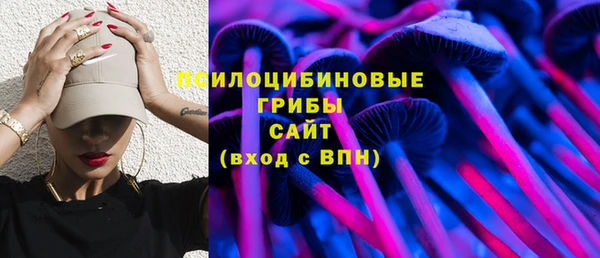 ешки Медвежьегорск